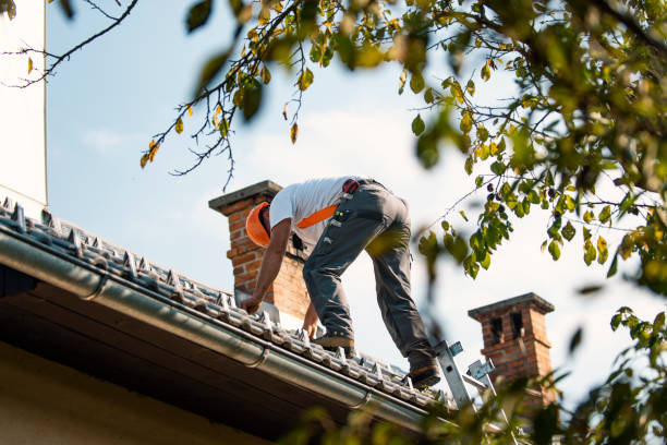 Best Shingle Roofing Installation  in Conway Springs, KS