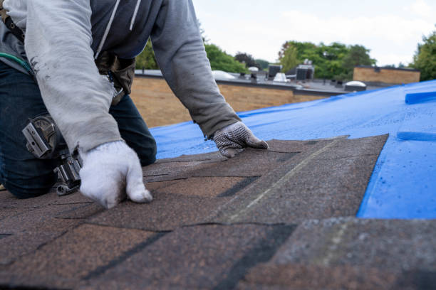 Best Roof Replacement Cost  in Conway Springs, KS
