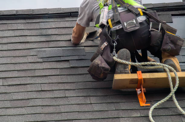 Best Roof Maintenance Services  in Conway Springs, KS